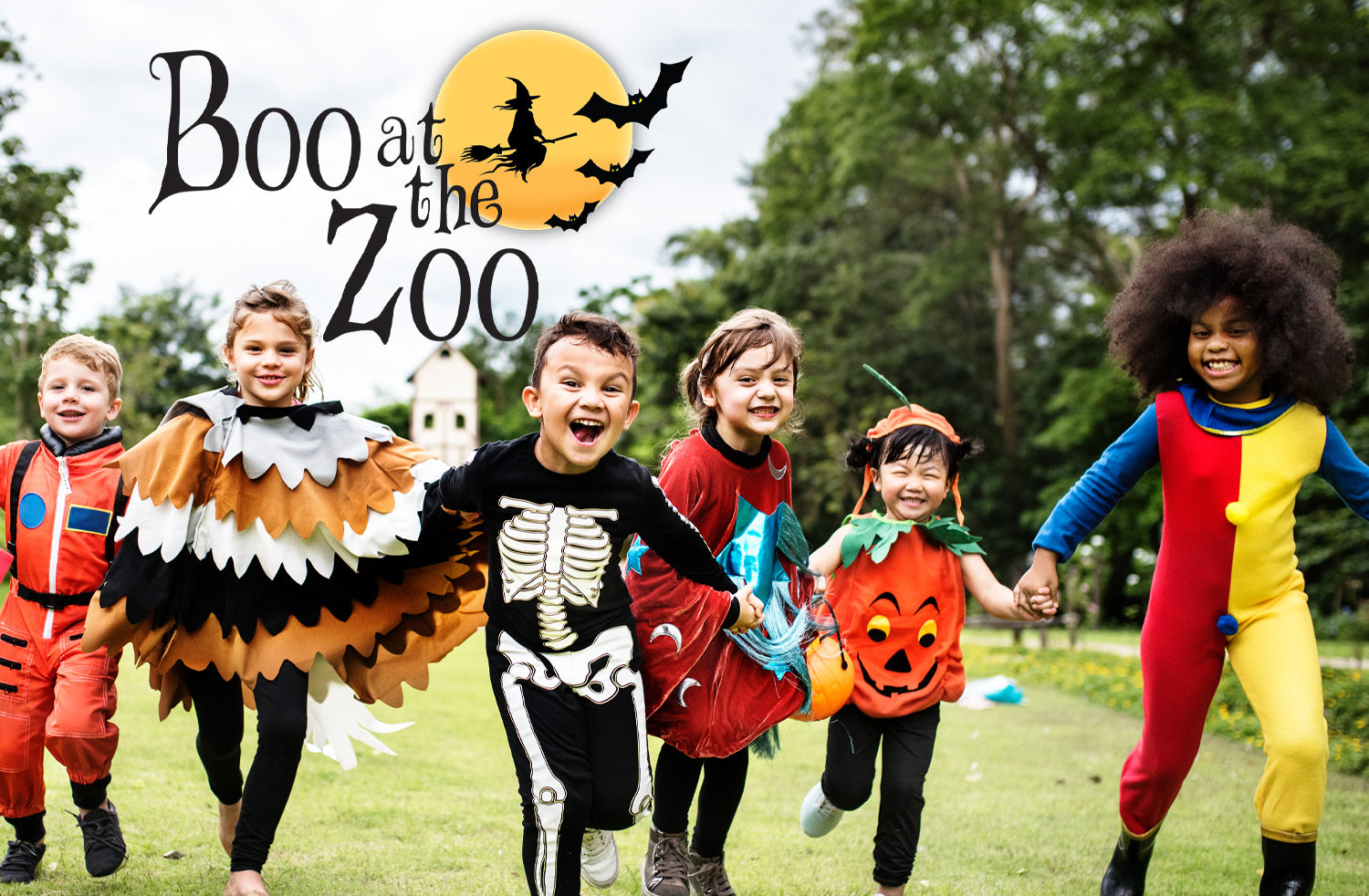 Boo at the Zoo